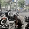 vanliem39