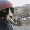 fuckmylifemyguy