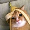 catlover101823