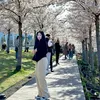 huongnoinuamua228