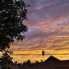 _auroraachiera