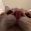 mqfrigey