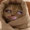yna.tiktok5