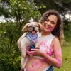 tobyshihtzu1