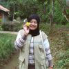 yajulpa
