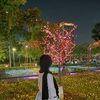 Piescesgirl