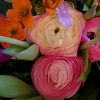 annemiek.b