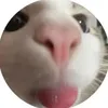aki_yaaa