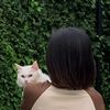 ratrizain_