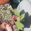 ayxina_66