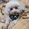 momolee009205