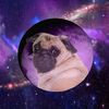 theplutopug