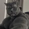 bodilattainheaven