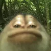 pepztar