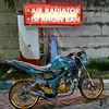 dwiariantooi0