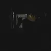 nutwing_