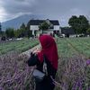 fitrinoviyanti_hasibuan