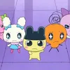 5245kitty_chan