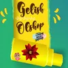 gelisholshop.com