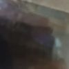 pny1orang