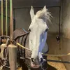 liltwat096