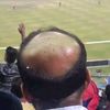 capcut