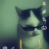 zinizoni