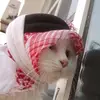 akhi.raysh