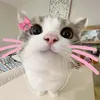 maram_ysf