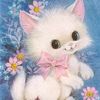 tutul_too12