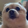 michbui