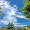 sunshine_12_12