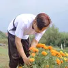 hoanganhakira