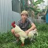 tuanan01.07.1996