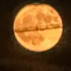 2142042840