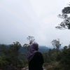 dinae04_