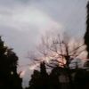 othersna
