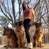stella_gsd