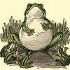 allterrainegg