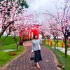 _bubblegum_026