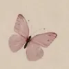_imuein1