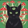 user798cacqcq0