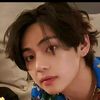 tata_bts66