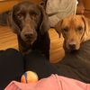 kris_loves_lilly