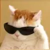 aamonuserr