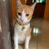 Emng namanya miky