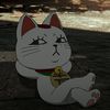 mycatsnameisdobby