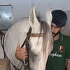 shahmir_khan_.1