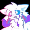 kittydog