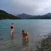 lulustucru38